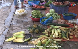 An toàn giao thông 24h ngày 8/7/2025