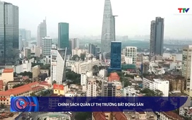 Bản tin Tài chính - Thị trường 1/8/2025