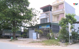 Hộp thư truyền hình 11/8/2025