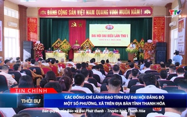 Bản tin Thời sự tối ngày 12/8/2025