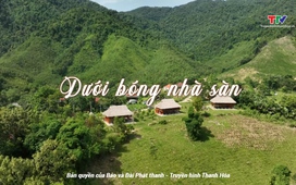 Đất và người Xứ Thanh: Dưới bóng nhà sàn