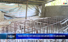 Bản tin Thời sự 9h ngày 14/8/2025