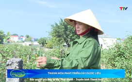 Bản tin Nông nghiệp nông thôn ngày 16/8/2025
