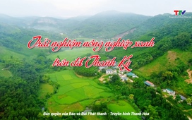 Ký sự miền sơn cước ngày 15/8/2025