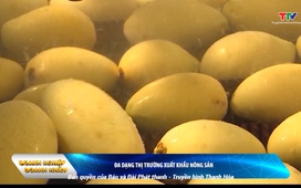 Bản tin Doanh nghiệp – Doanh nhân 17/8/2025