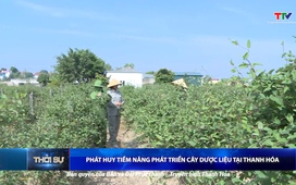 Bản tin Thời sự 14h ngày 17/8/2025 