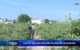 Bản tin Thời sự 16h ngày 17/8/2025