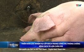 Bản tin Thời sự trưa 2/8/2025