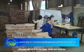 Bản tin Nông nghiệp nông thôn ngày 20/8/2025
