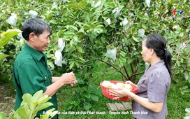 Cựu chiến binh Thanh Hóa ngày 25/8/2025