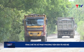 Bản tin An toàn giao thông 24h ngày 29/8/2025