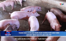 Bản tin Thời sự cuối ngày 5/8/2025