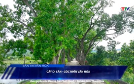 Bản tin Văn hóa ngày 6/8/2025