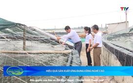 Bản tin Nông nghiệp - Nông thôn ngày 6/8/2025