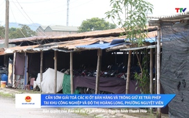 Nhà nước và Pháp luật 7/8/2025