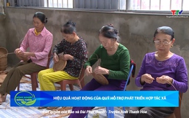 Bản tin Nông nghiệp nông thôn ngày 9/8/2025