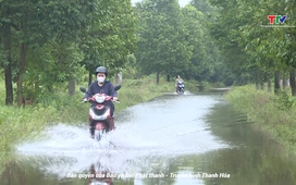 Hộp thư truyền hình ngày 1/9/2025