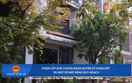 Nhà nước và Pháp luật 11/9/2025