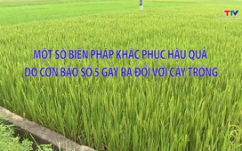 Khuyến nông 2/9/2025