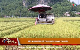 Thanh Hóa ngày mới 21/9/2025