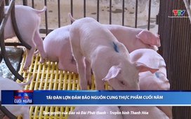 Bản tin Thời sự cuối ngày 20/9/2025