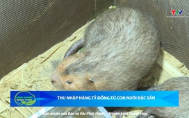 Bản tin Nông nghiệp nông thôn ngày 24/9/2025