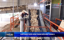 Bản tin Thời sự 14h ngày 24/9/2025