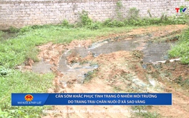 Nhà nước và Pháp luật 25/9/2025