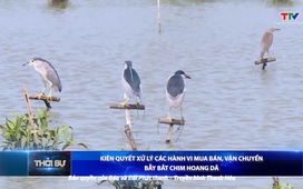 Bản tin Thời sự 9h ngày 25/9/2025