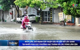 Bản tin Thời sự 14h ngày 29/9/2025