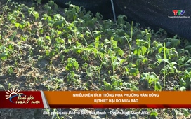 Thanh Hóa ngày mới ngày 6/9/2025