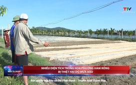 Bản tin Thời sự 18h ngày 6/9/2025