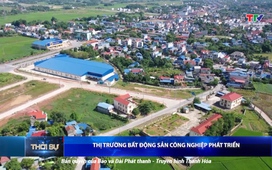 Bản tin Thời sự 14h ngày 7/9/2025