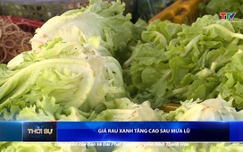Bản tin Thời sự 16h ngày 7/9/2025