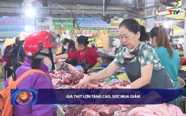 Bản tin Tài chính - Thị trường ngày 11/01/2026