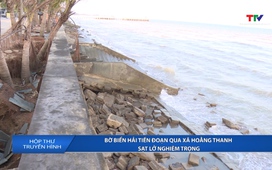 Hộp thư truyền hình ngày 12/01/2026