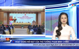 Bản tin Chính Phủ tuần qua ngày 12/01/2026