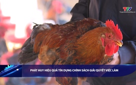 Bản tin Tài chính - Thị trường ngày 12/01/2026