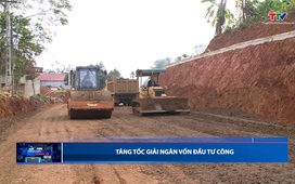 Bản tin Dòng chảy kinh tế ngày 11/01/2026