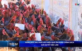 Bản tin Thời sự trưa ngày 12/01/2026