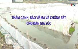 Khuyến nông 13/01/2026