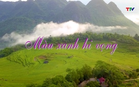 Thanh Hóa - Góc nhìn từ trên cao 13/01/2026