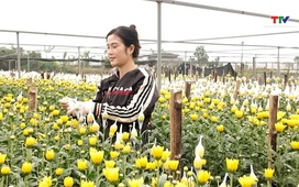 Phóng sự: Rộn ràng làng hoa, cây cảnh vào Tết