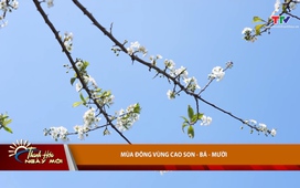 Thanh Hóa ngày mới ngày 17/01/2026