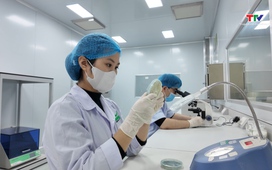 Học tập và làm theo tư tưởng, đạo đức, phong cách Hồ Chí Minh ngày 17/01/2026