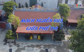 Ký sự: Mạch nguồn xưa giữa phố thị
