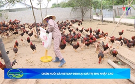 Bản tin Nông nghiệp - Nông thôn ngày 21/01/2026