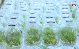 Bản tin Thời sự trưa ngày 21/01/2026