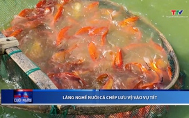 Bản tin Thời sự cuối ngày 21/01/2026