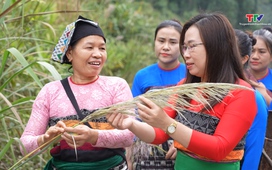 Ký sự miền sơn cước ngày 23/01/2026